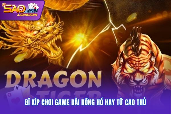 Bí kíp chơi game bài rồng hổ hay từ cao thủ