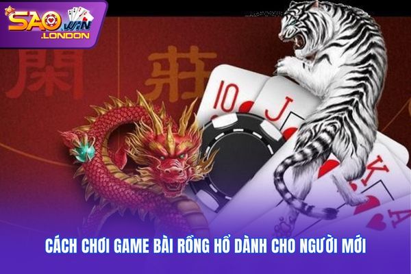 Cách chơi game bài rồng hổ dành cho người mới